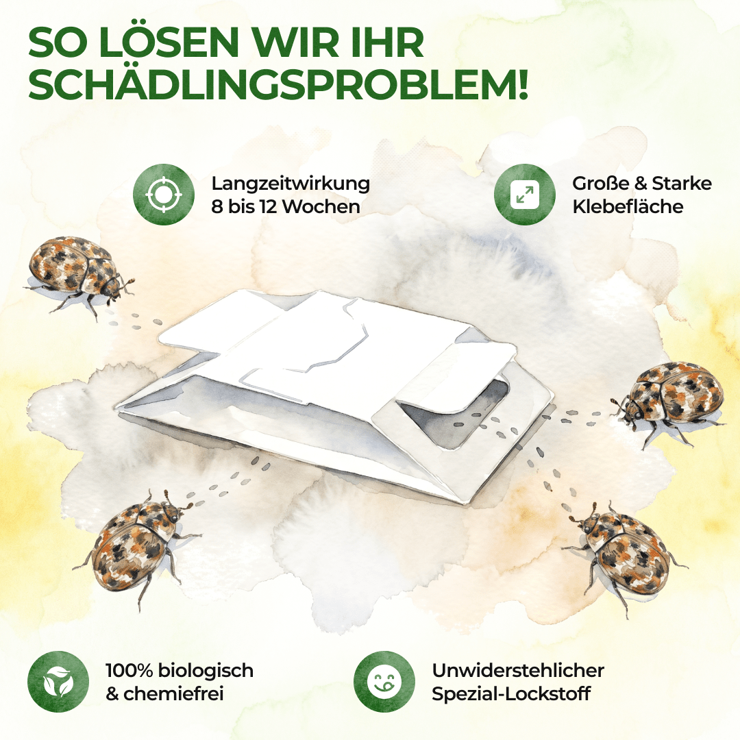 green-guardia-wollkrautbl-tenk-fer-falle-3-fallen image 7