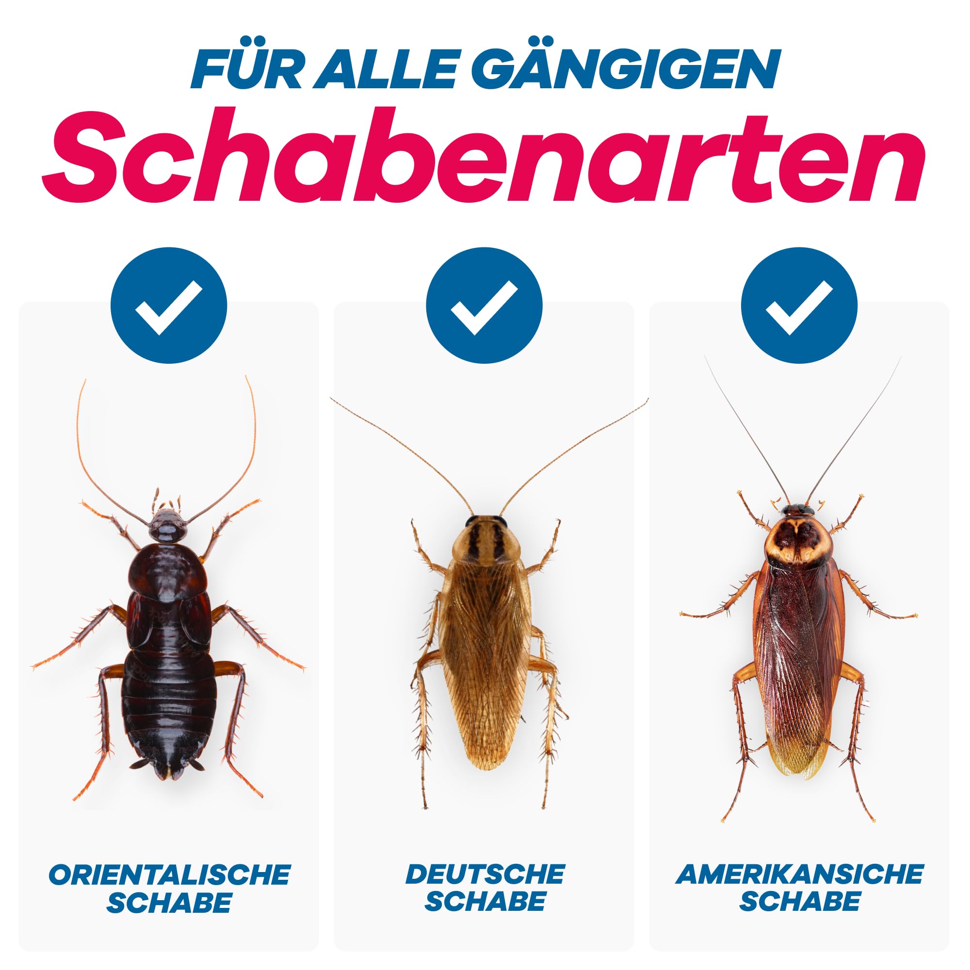 gerobug-schaben-schaben-falle-12-st-ck-giftfrei-zur-berwachung image 5