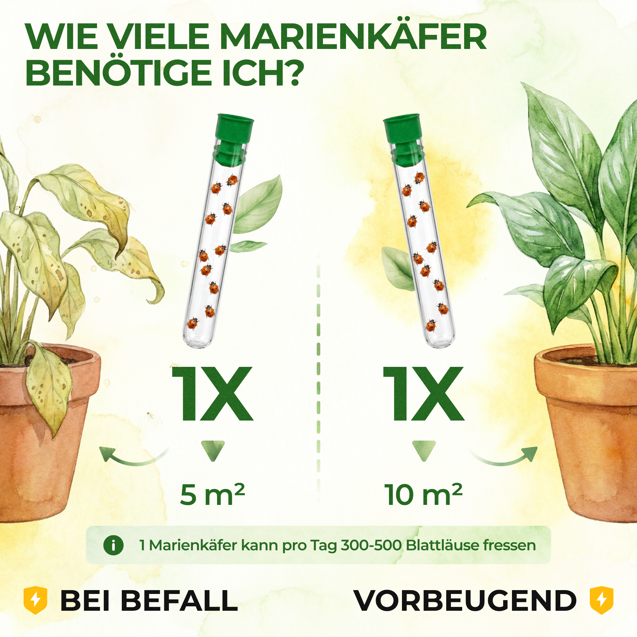 green-guardia-marienk-fer-gegen-wolll-use-10-n-tzlinge-5-m image 3