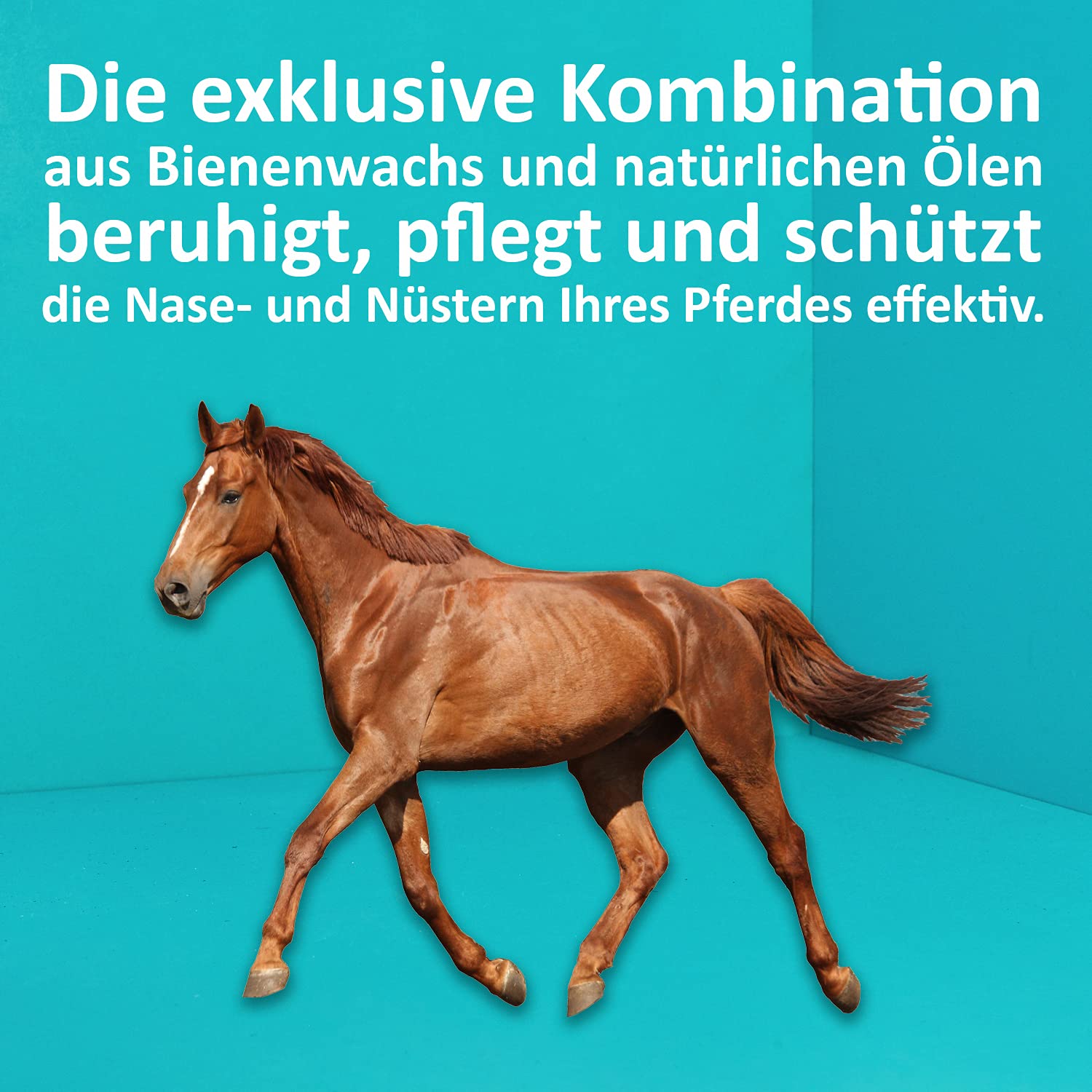 green-hero-haustiere-nasenbalsam-pferd-75-ml-nat-rlich image 4