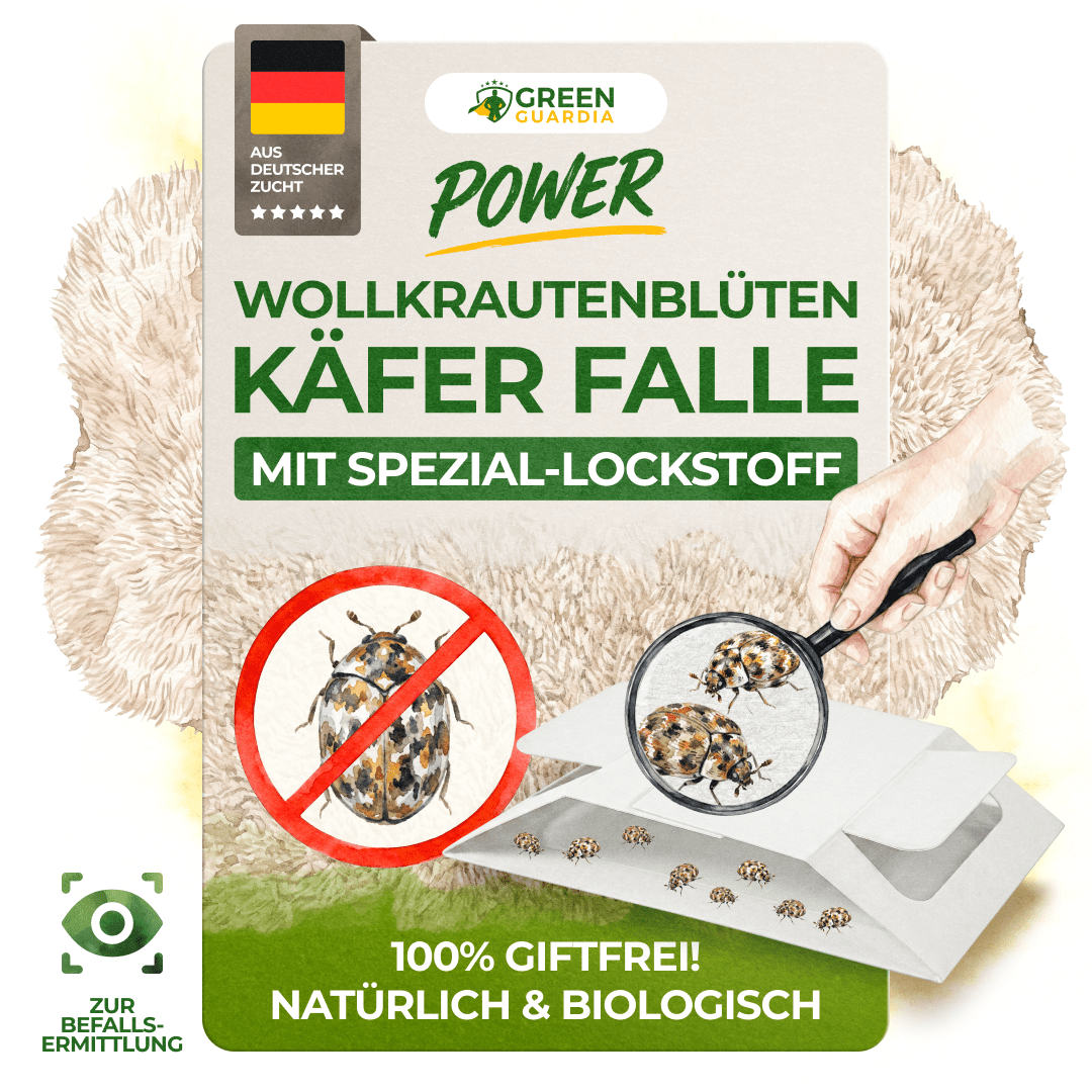 green-guardia-wollkrautbl-tenk-fer-falle-3-fallen image 1