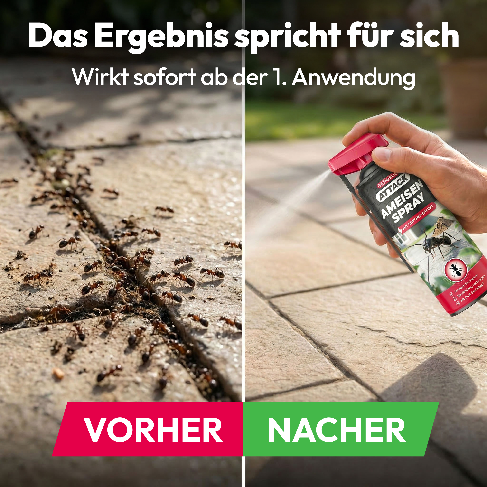 gerobug-attack-ameisen-spray-ameisenmittel-mit-2-in-1-lanze image 3