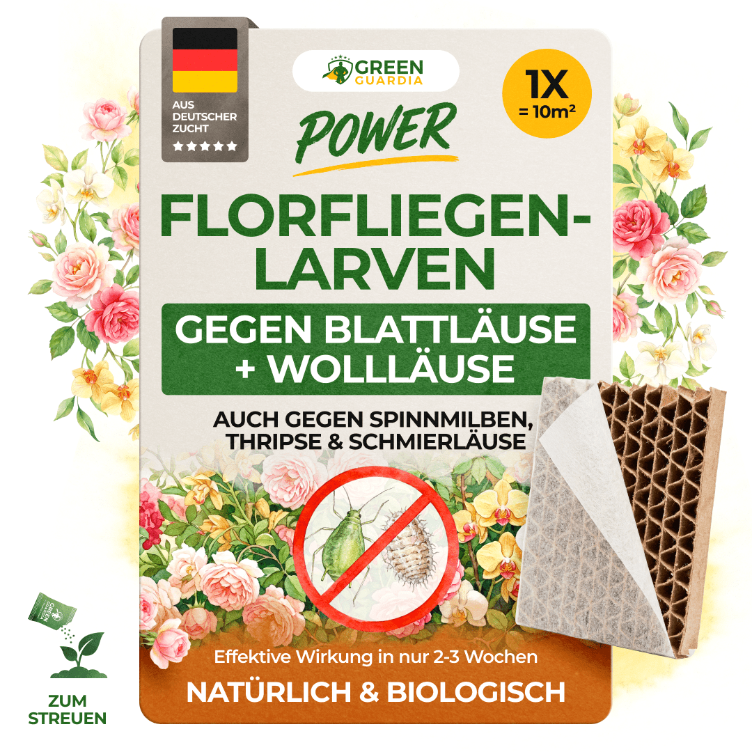 green-guardia-florfliegenlarven-pappwabe-10m-blattl-use image 1