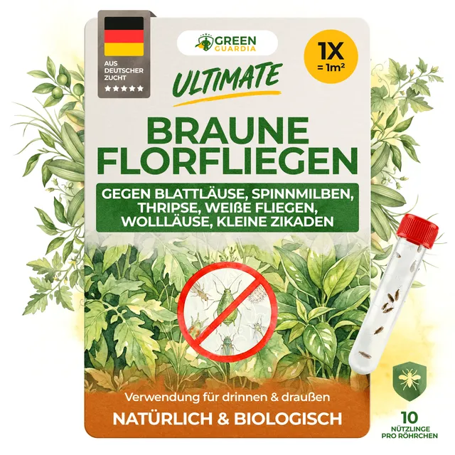 green-guardia-braune-florfliegen-n-tzlinge-1-r-hrchen-1-2m image 1