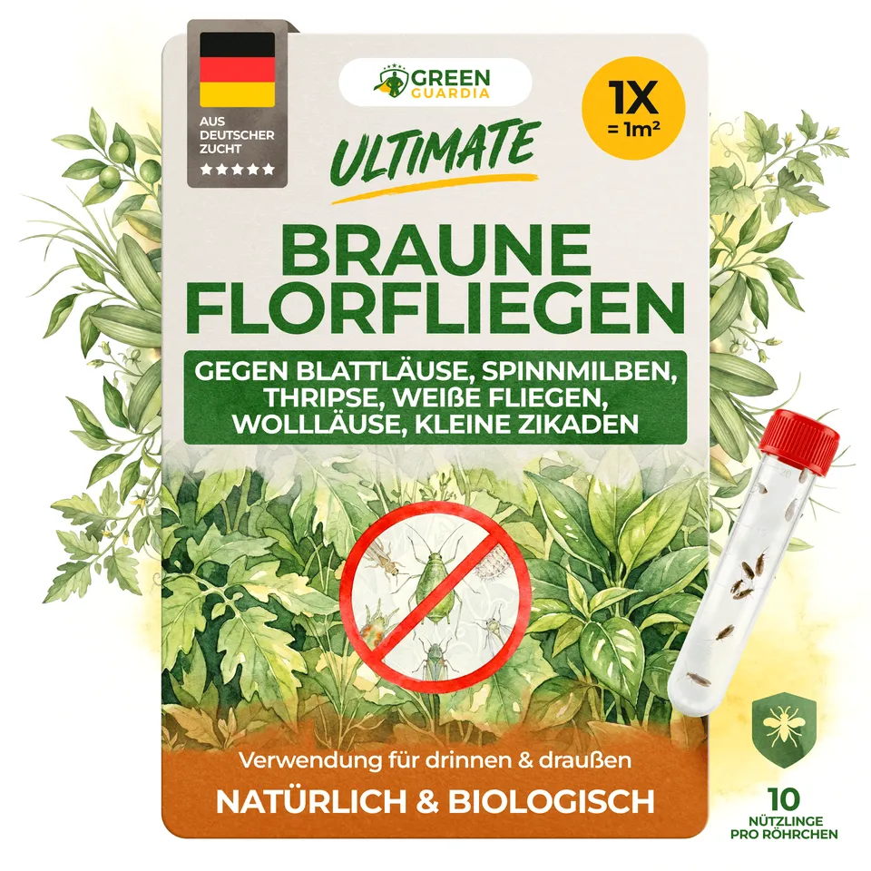 green-guardia-braune-florfliegen-n-tzlinge-1-r-hrchen-1-2m image 1