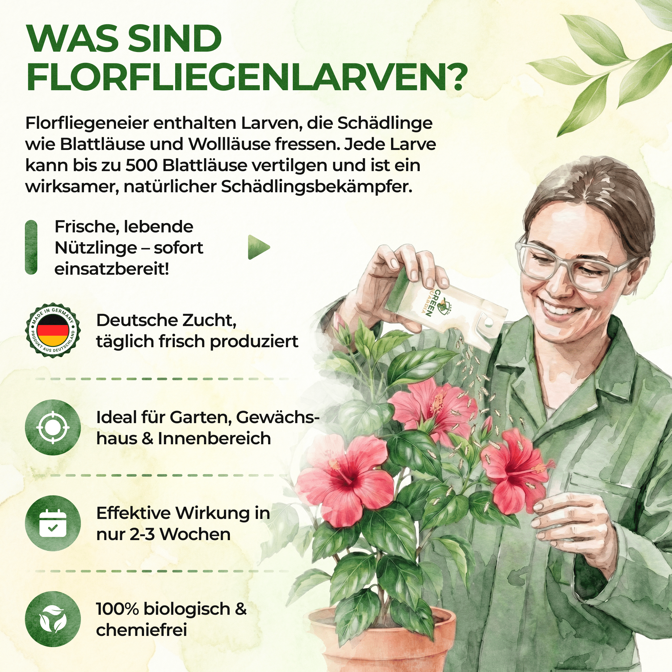 green-guardia-florfliegenlarven-eier-gegen-blattl-use-1-t-te image 5