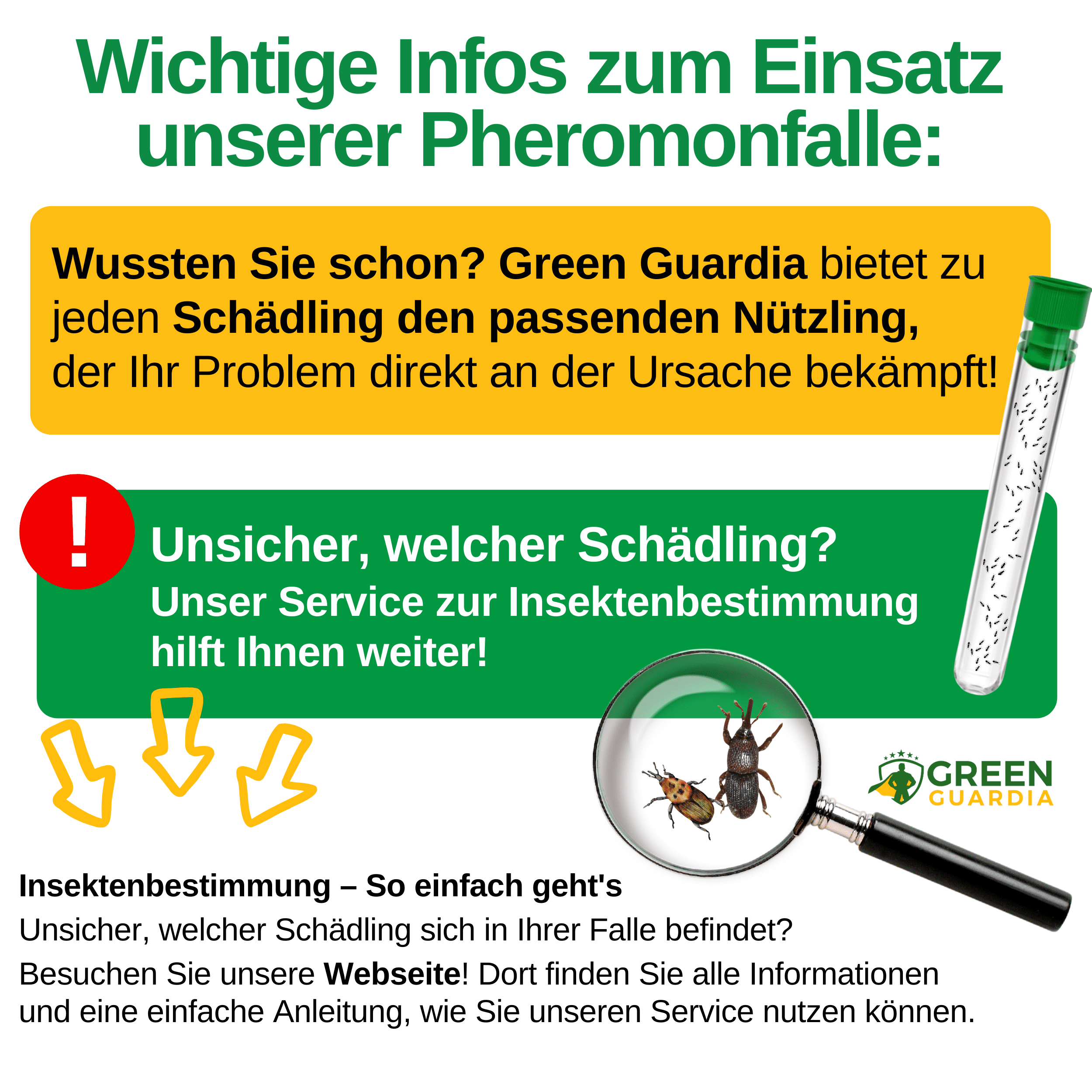 green-guardia-papier-fallen-pheromon-folien-klebefalle-3x-brotk-fer image 6