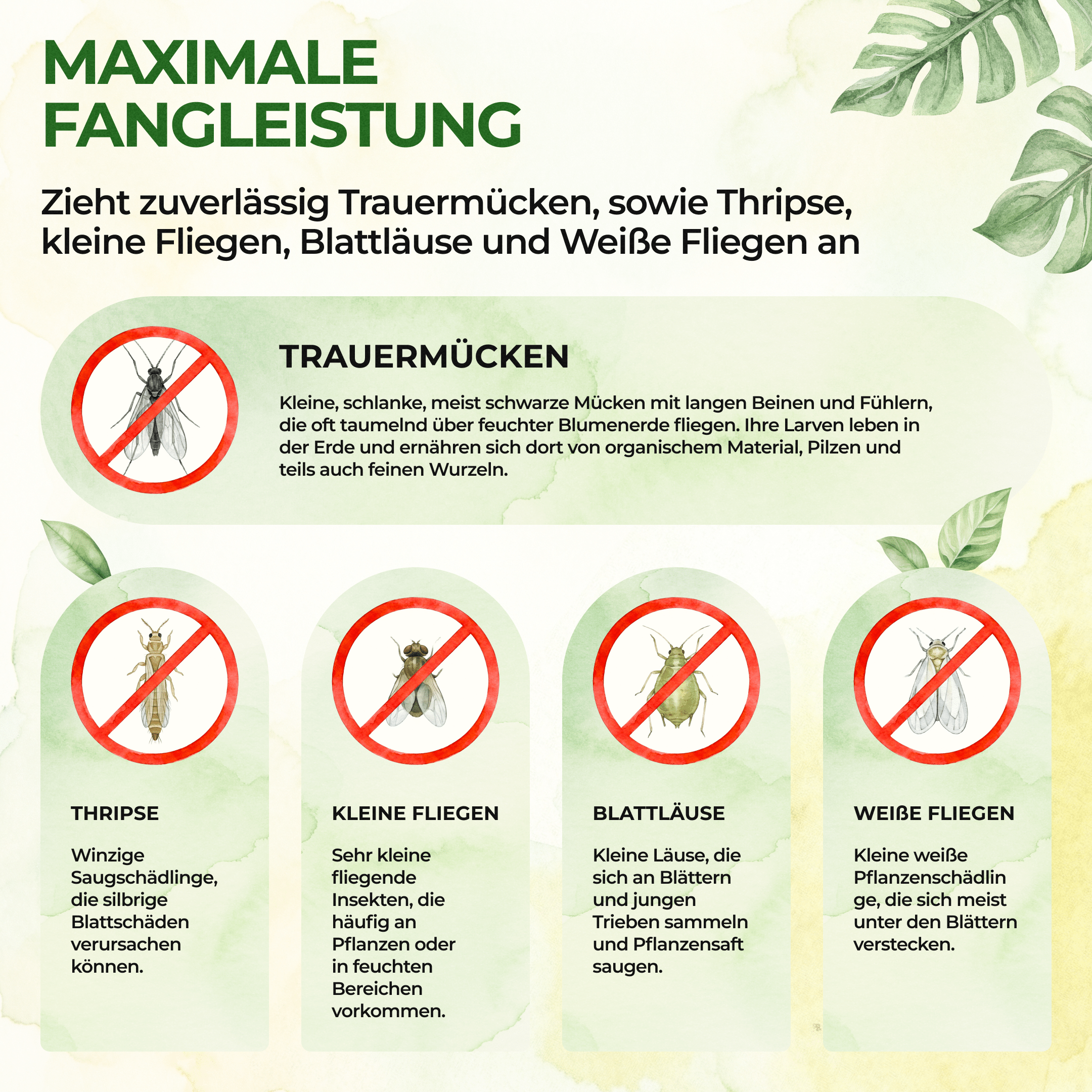 green-guardia-papier-fallen-gelbsticker-10-st-ck-chemiefrei image 2