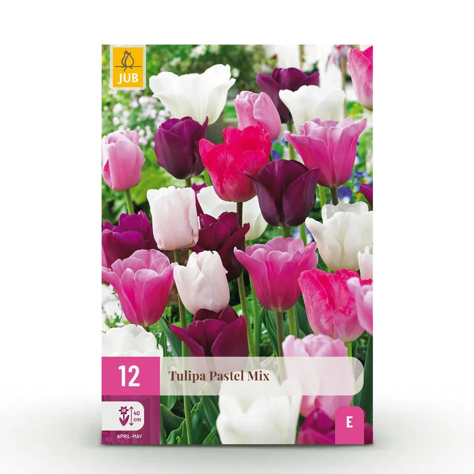 green-guardia-tulipa-pastel-mix-blumenzwiebeln-12-st-ck-pastell image 1