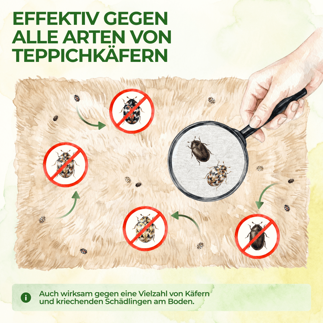 green-guardia-mehrweg-fallen-teppichk-fer-falle-3-fallen-giftfrei image 2