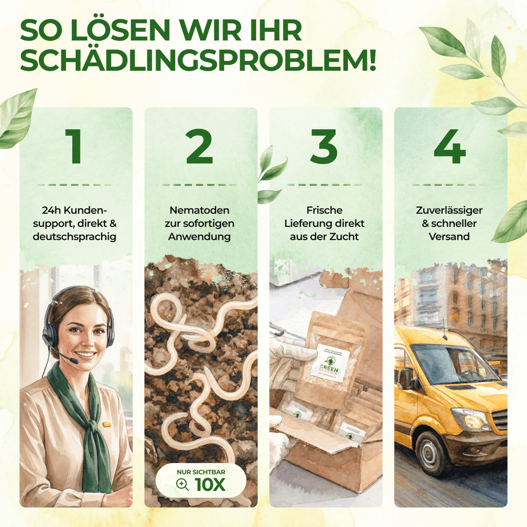 green-guardia-nematoden-hb-n-tzlinge-gegen-dickmaulr-ssler-1-mio-f-r-2m image 8
