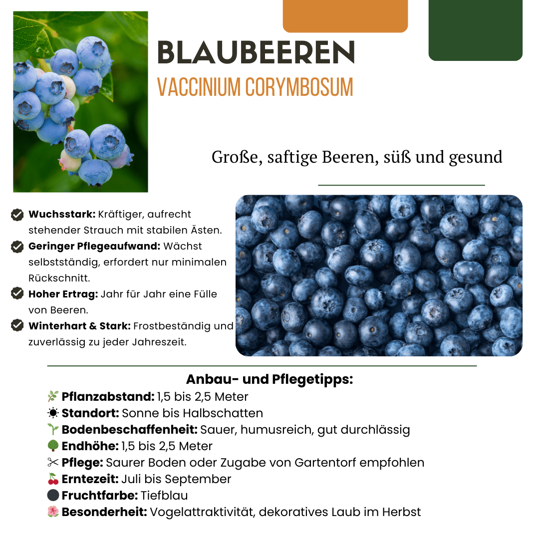 green-guardia-fr-chte-party-bio-obstpflanzen-mix-3-sorten image 7