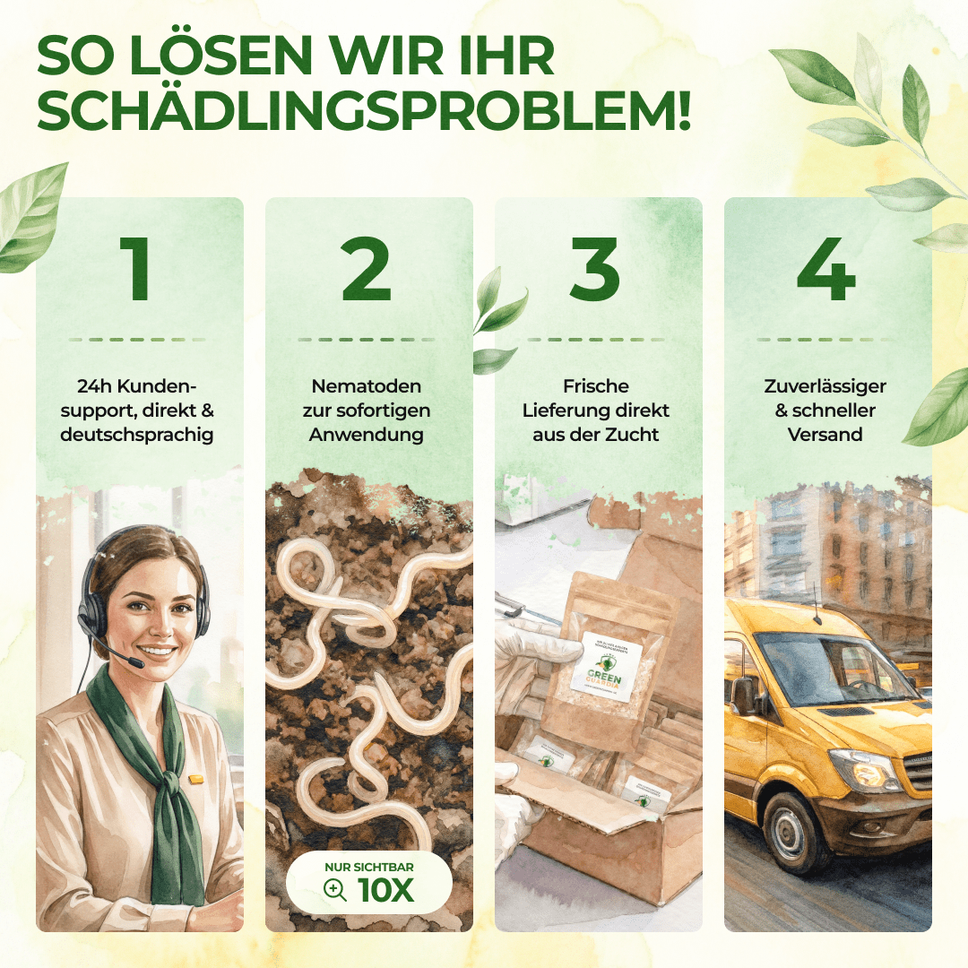 green-guardia-nematoden-gegen-drahtw-rmer-5-mio-10-m image 4
