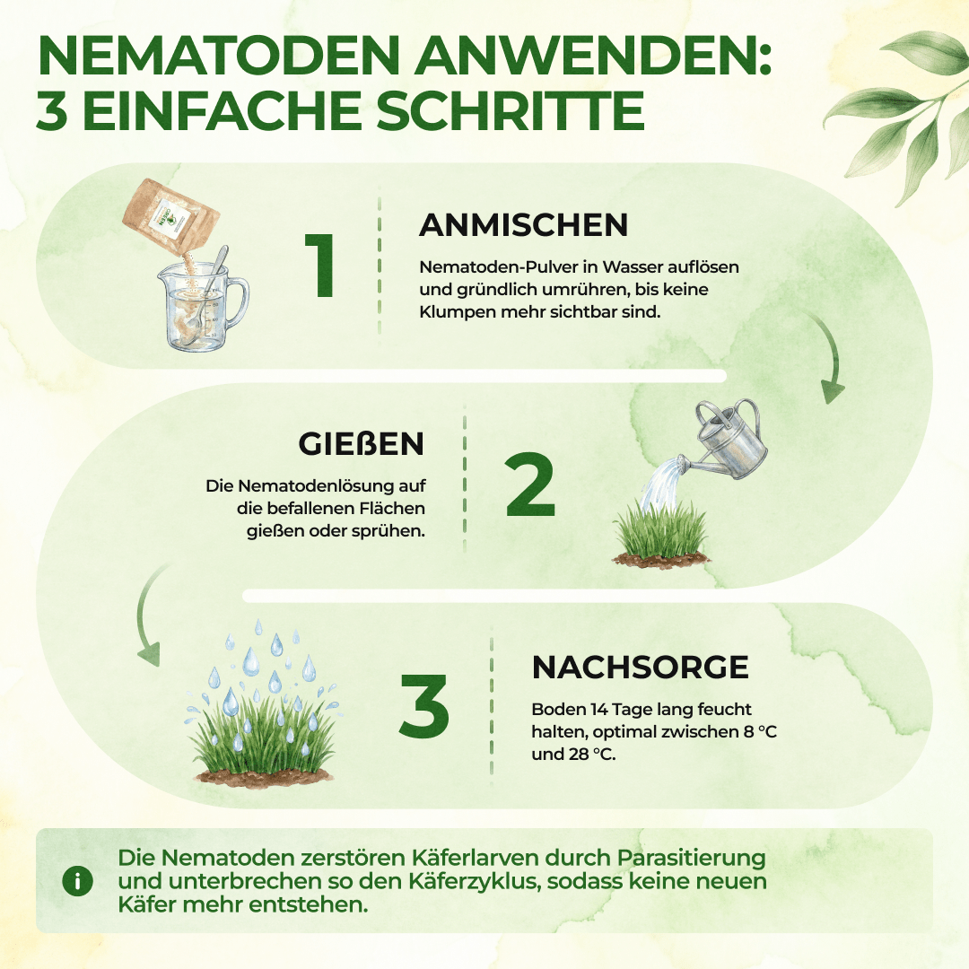 green-guardia-nematoden-gegen-drahtw-rmer-5-mio-10-m image 2