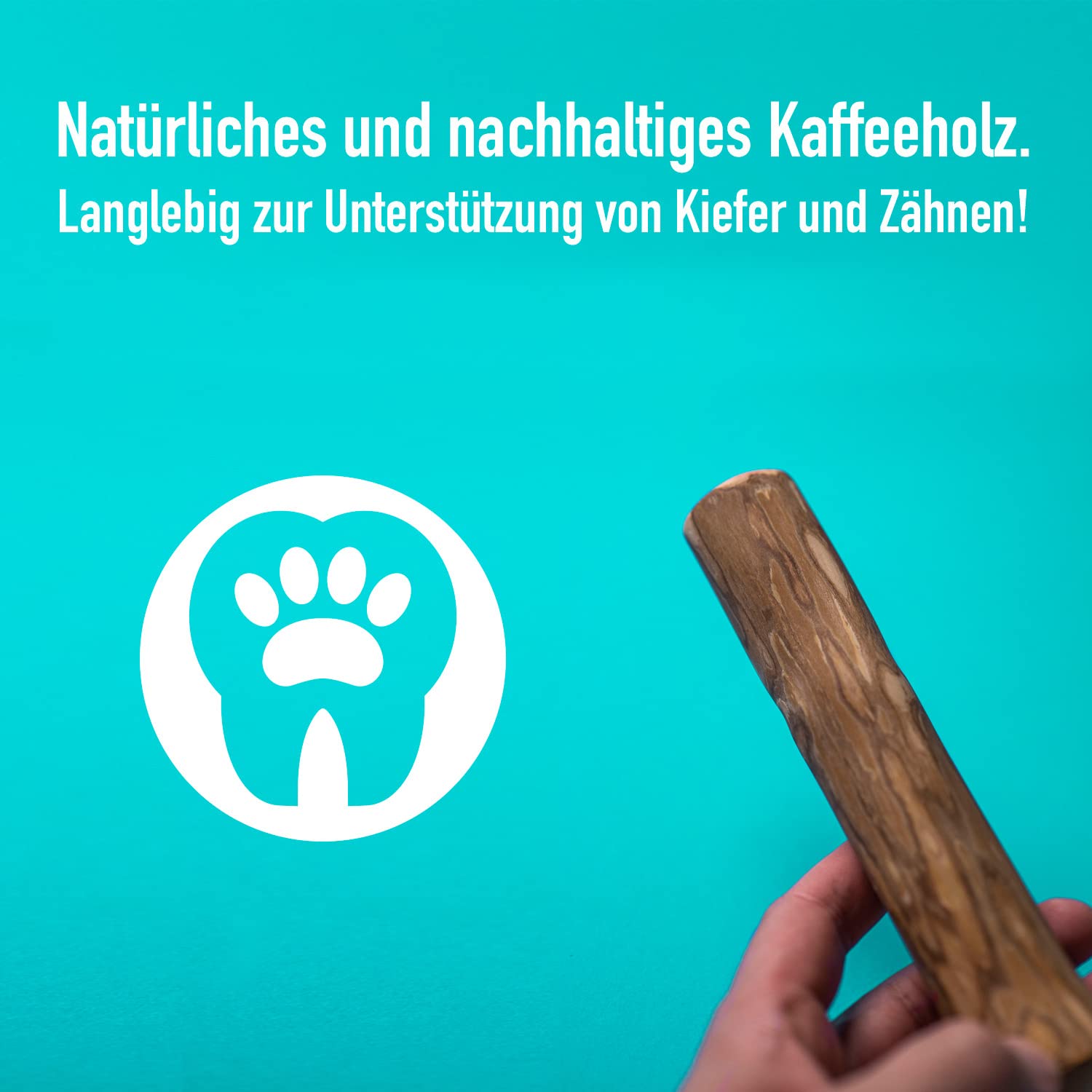 greenhero-haustiere-kaffeeholz-kaustab-s-12-cm-hypoallergen image 4