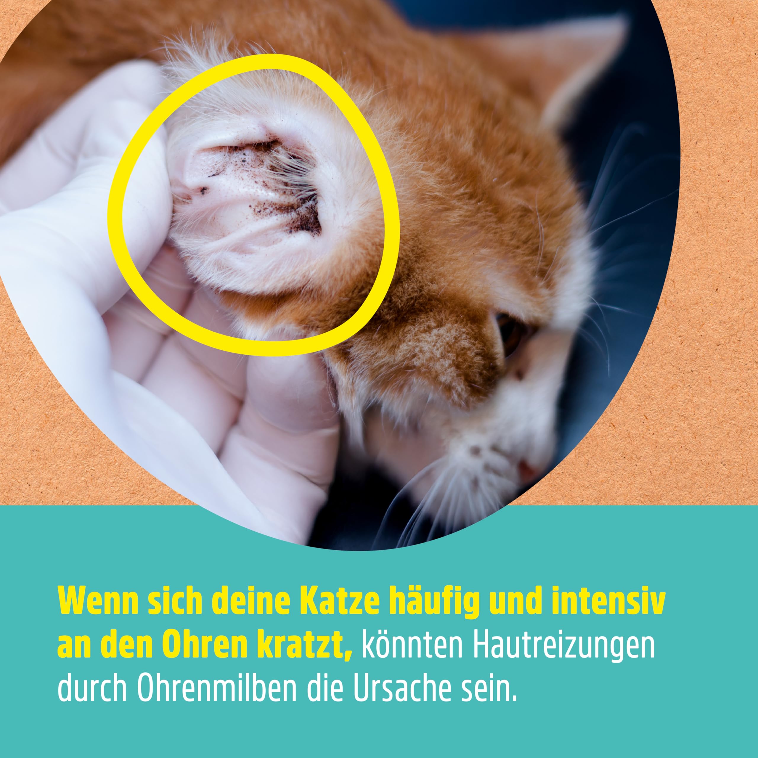 green-hero-haustiere-ohrentropfen-hund-katze-200-ml-sanft image 4