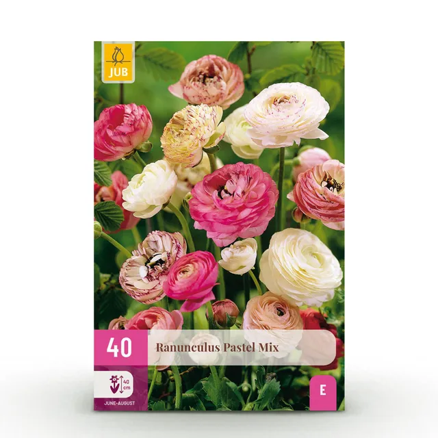 green-guardia-unsere-pflanzen-ranunkel-blumenzwiebeln-40-st-ck image 1