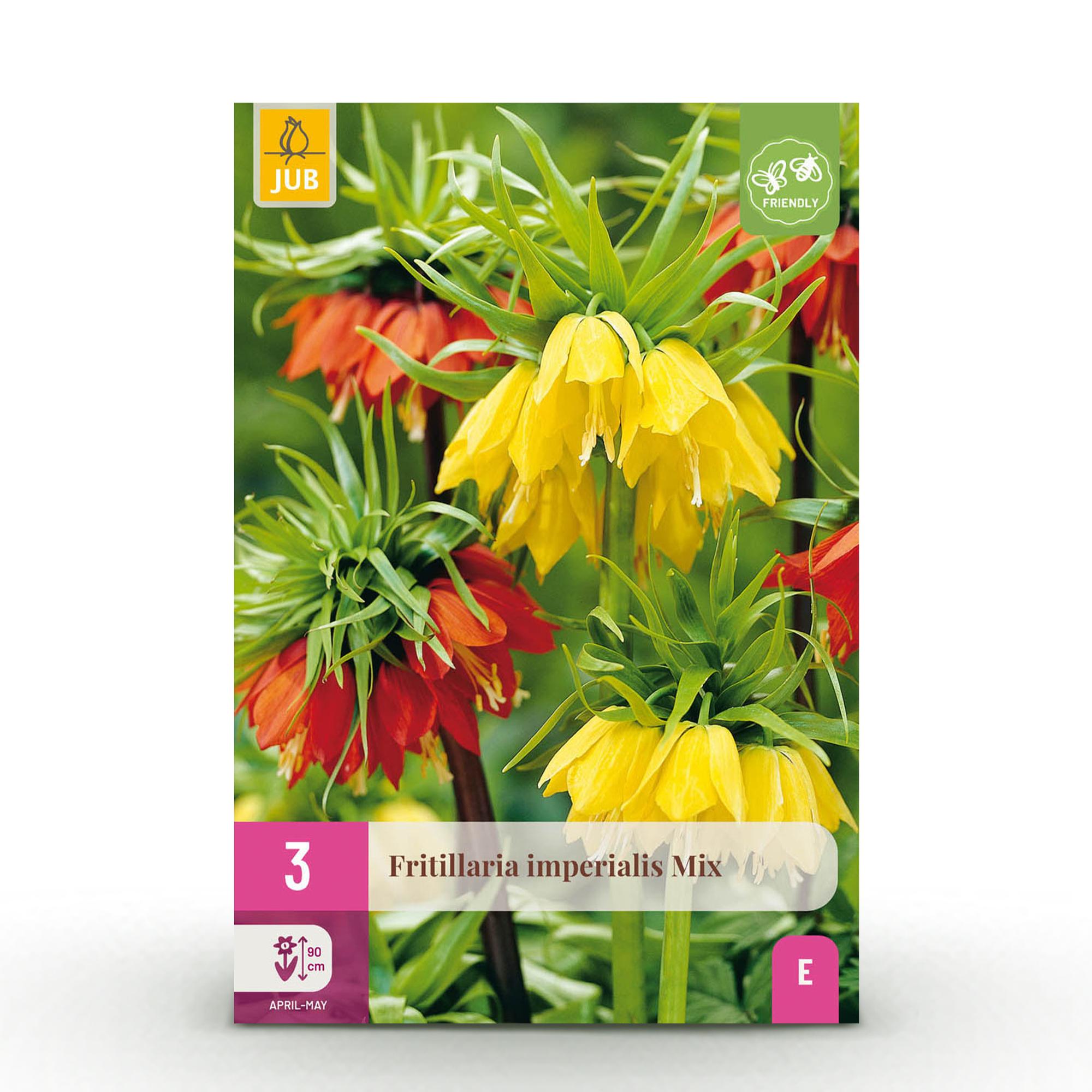 green-guardia-fritillaria-imperialis-mix-blumenzwiebeln-3-st-ck image 1