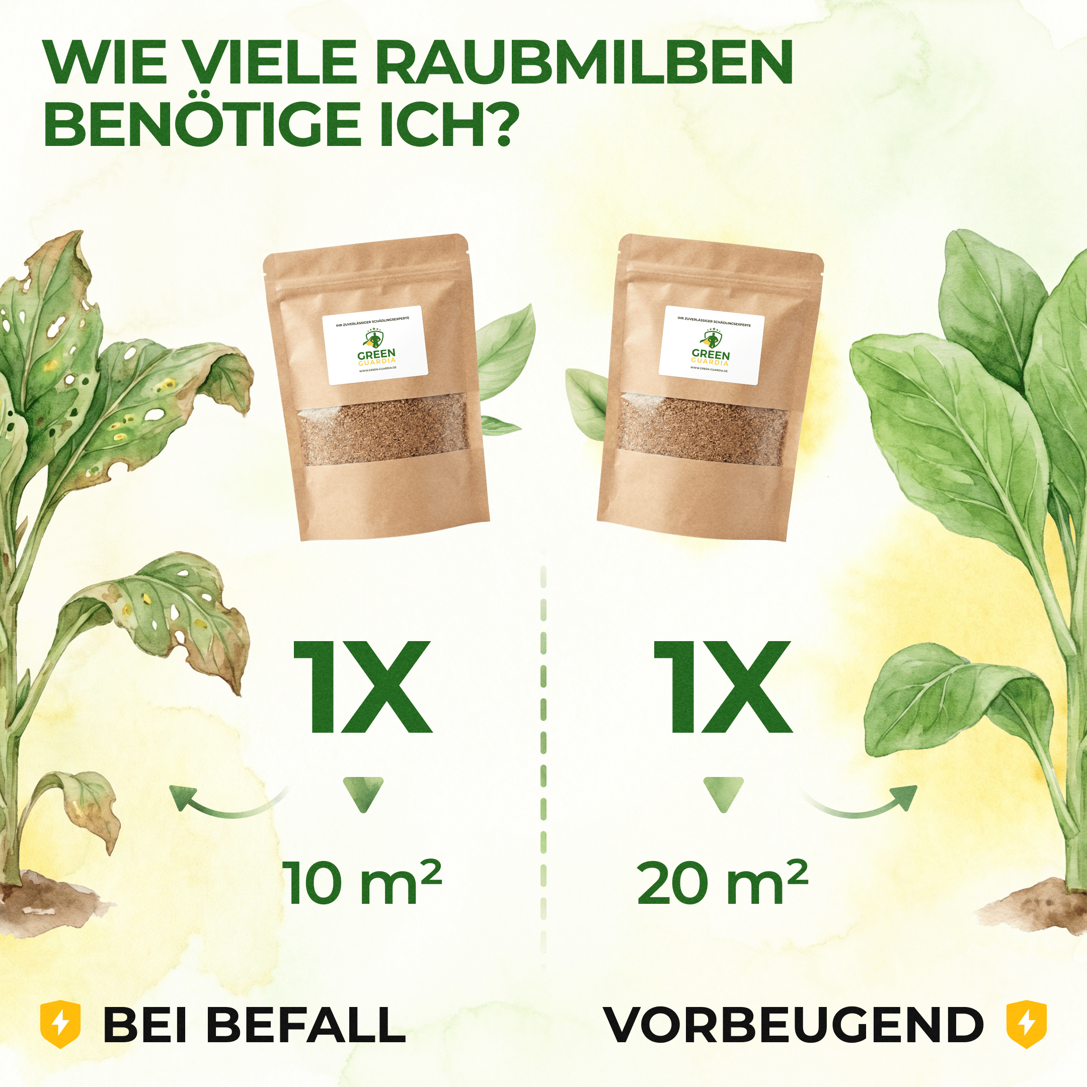 green-guardia-raubmilben-gegen-thripse-n-tzlinge-10-m image 5
