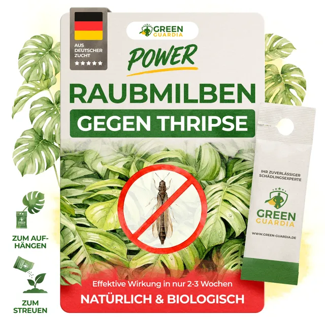 green-guardia-raubmilben-gegen-thripse-t-te-amblyseius-1-st image 1