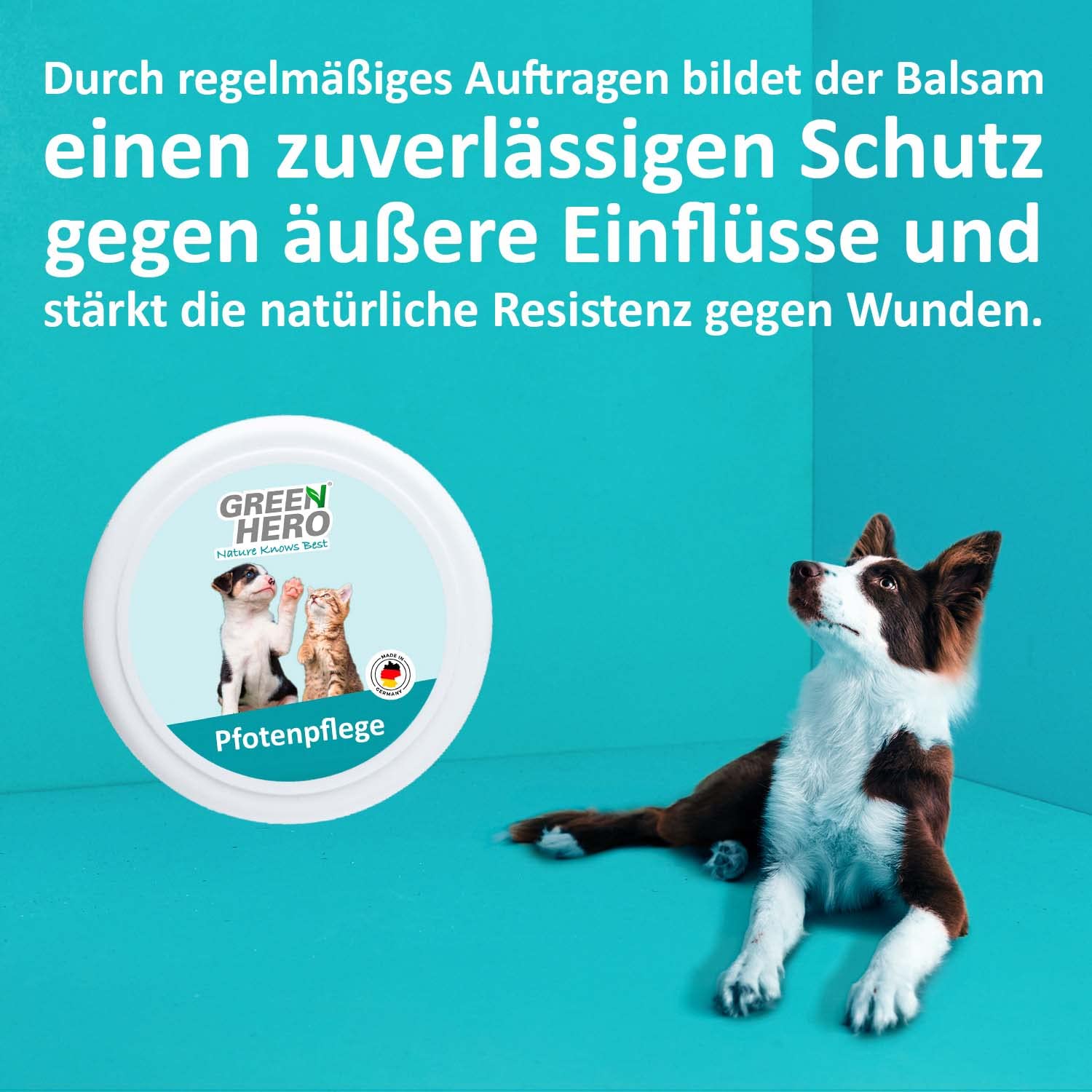 greenhero-pfotenpflege-pfotenbalsam-hund-katze-75-ml-arnika-l image 4