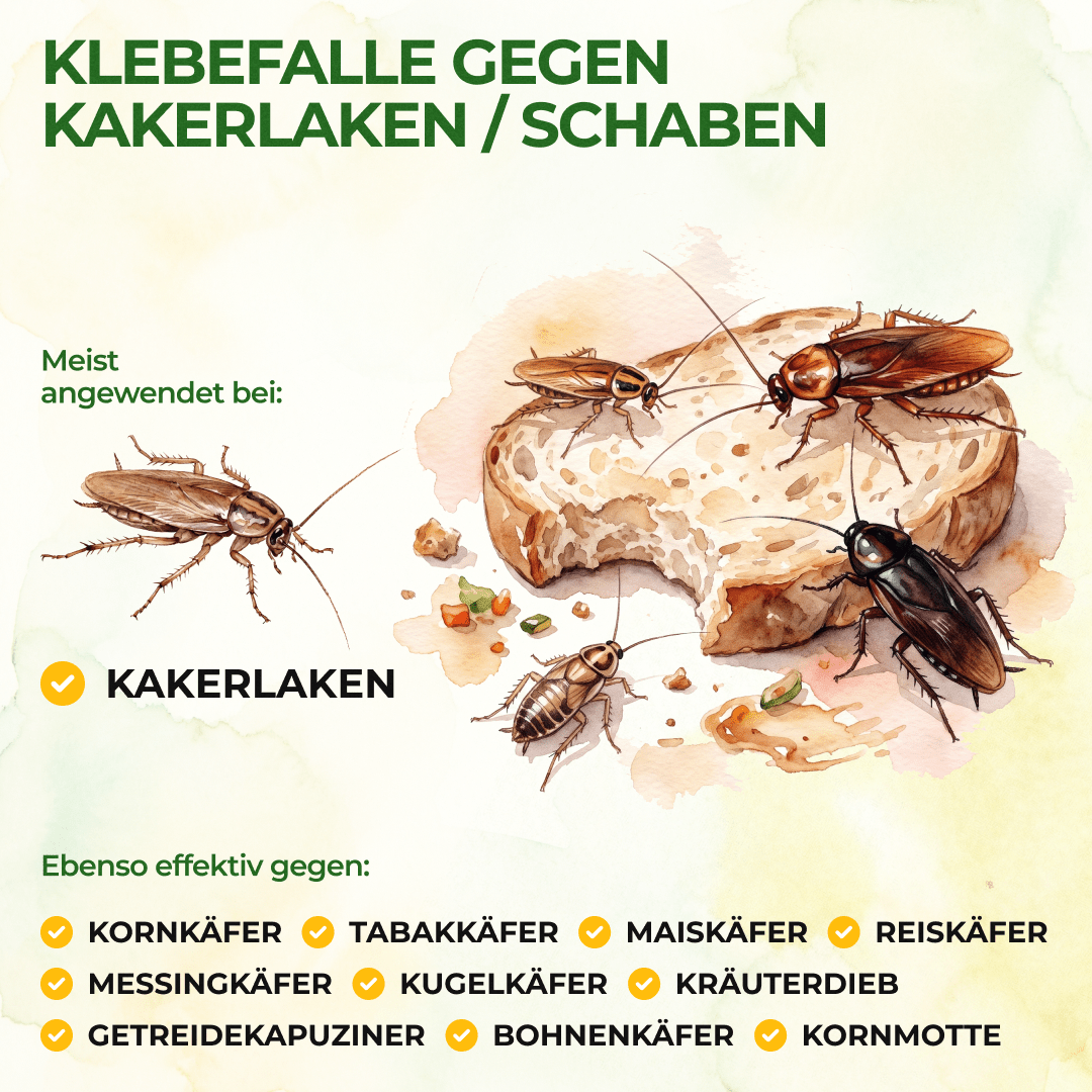 green-guardia-mehrweg-fallen-kakerlaken-falle-klebefalle-3x-giftfrei image 2