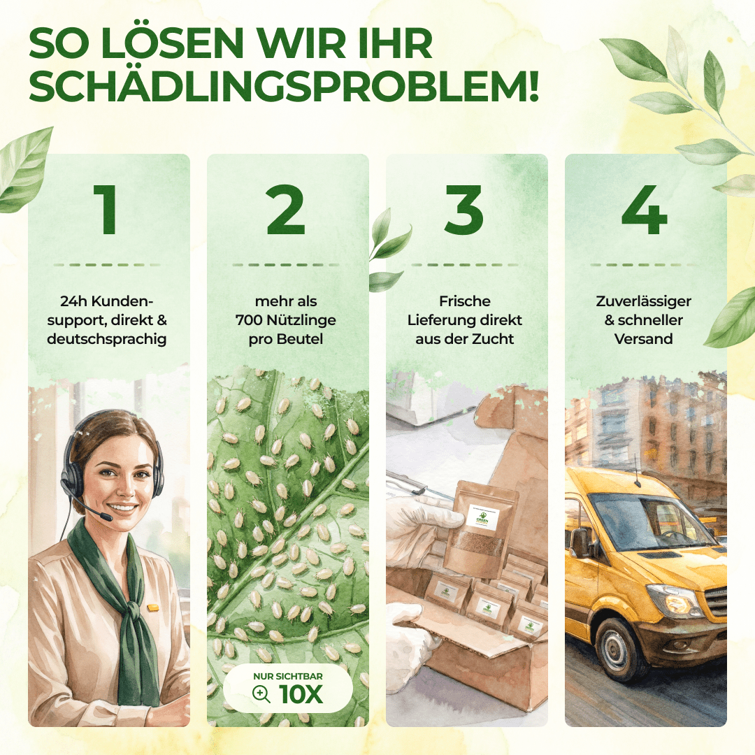 green-guardia-raubmilben-n-tzlinge-spinnmilben-1x-f-r-10m image 8