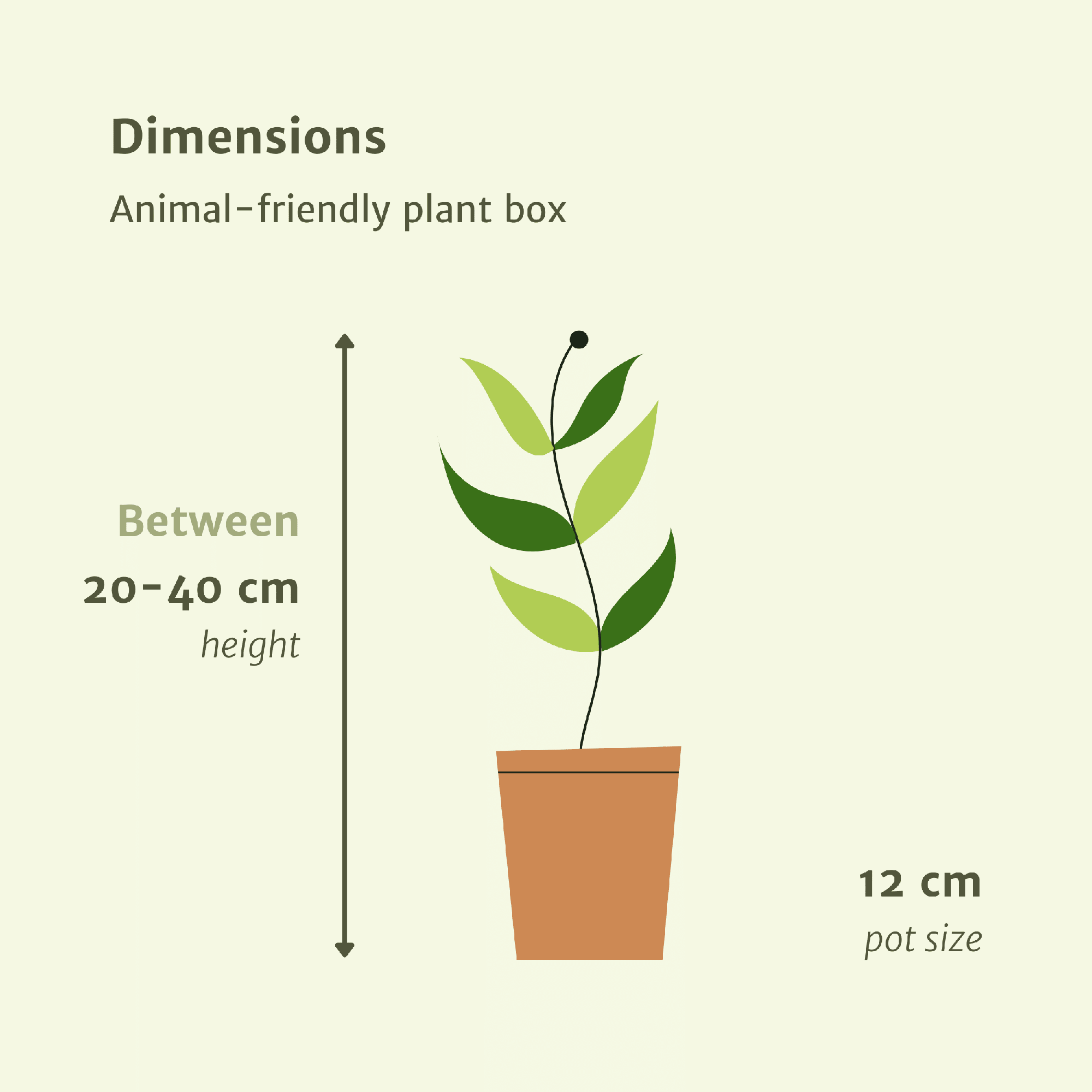 green-guardia-unsere-pflanzen-tierfreundliche-box-4-pflanzen-12-cm image 2