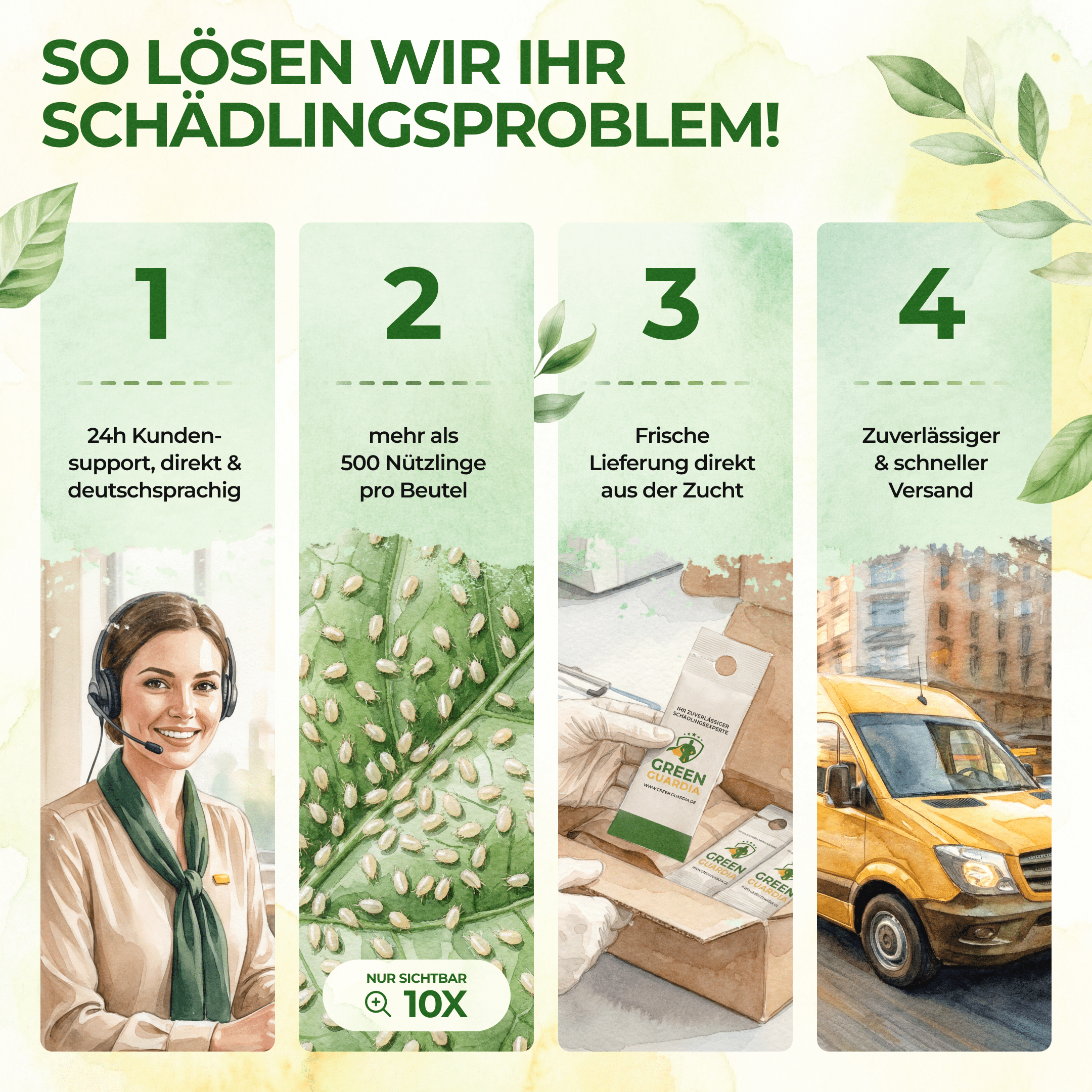 green-guardia-raubmilben-gegen-thripse-t-te-amblyseius-1-st image 8