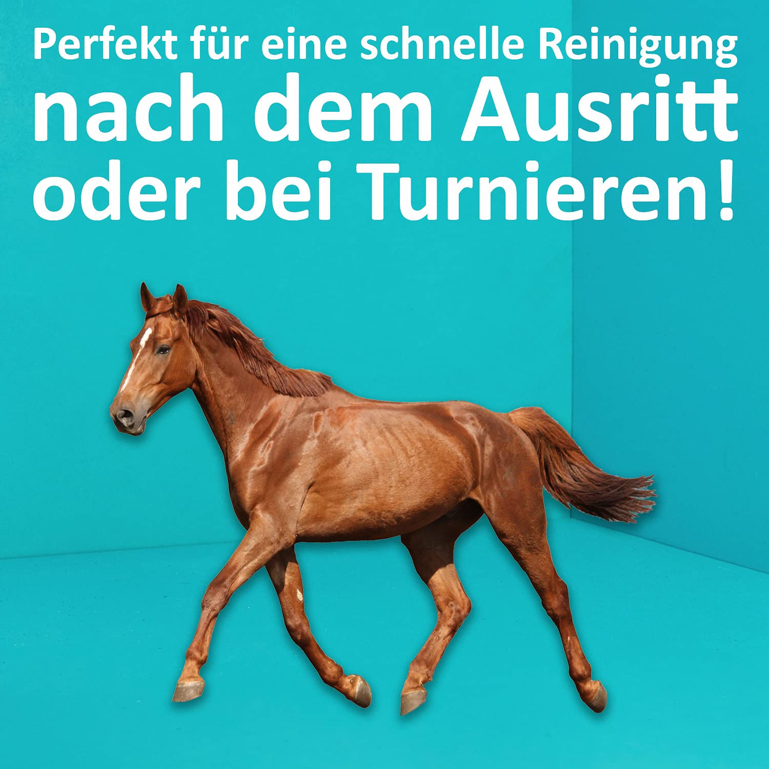 greenhero-haustiere-trockenshampoo-pferde-500-ml-nat-rlich image 4