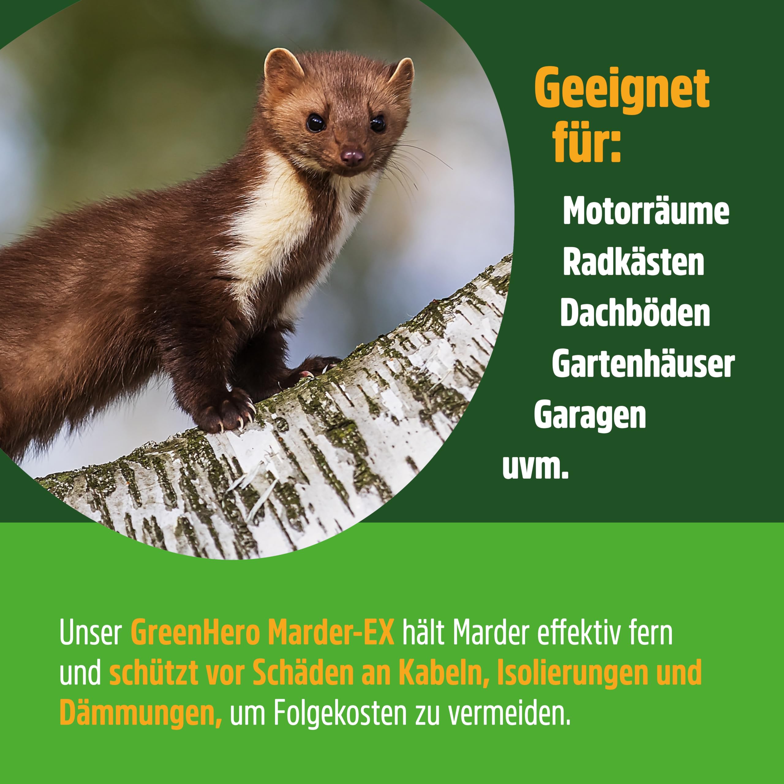 green-hero-sch-dlinge-marder-ex-spray-auto-500-ml-geraniol image 4