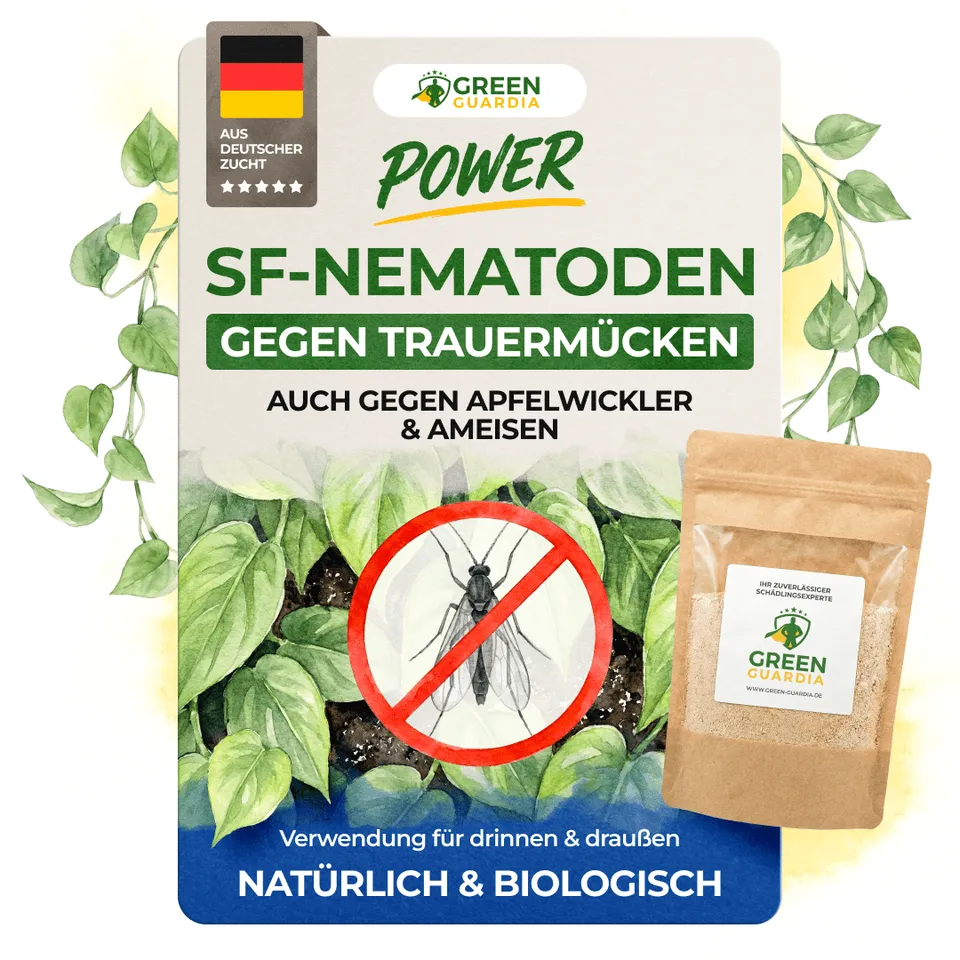 green-guardia-nematoden-sf-trauerm-cken-n-tzlinge-1-mio-2qm image 1