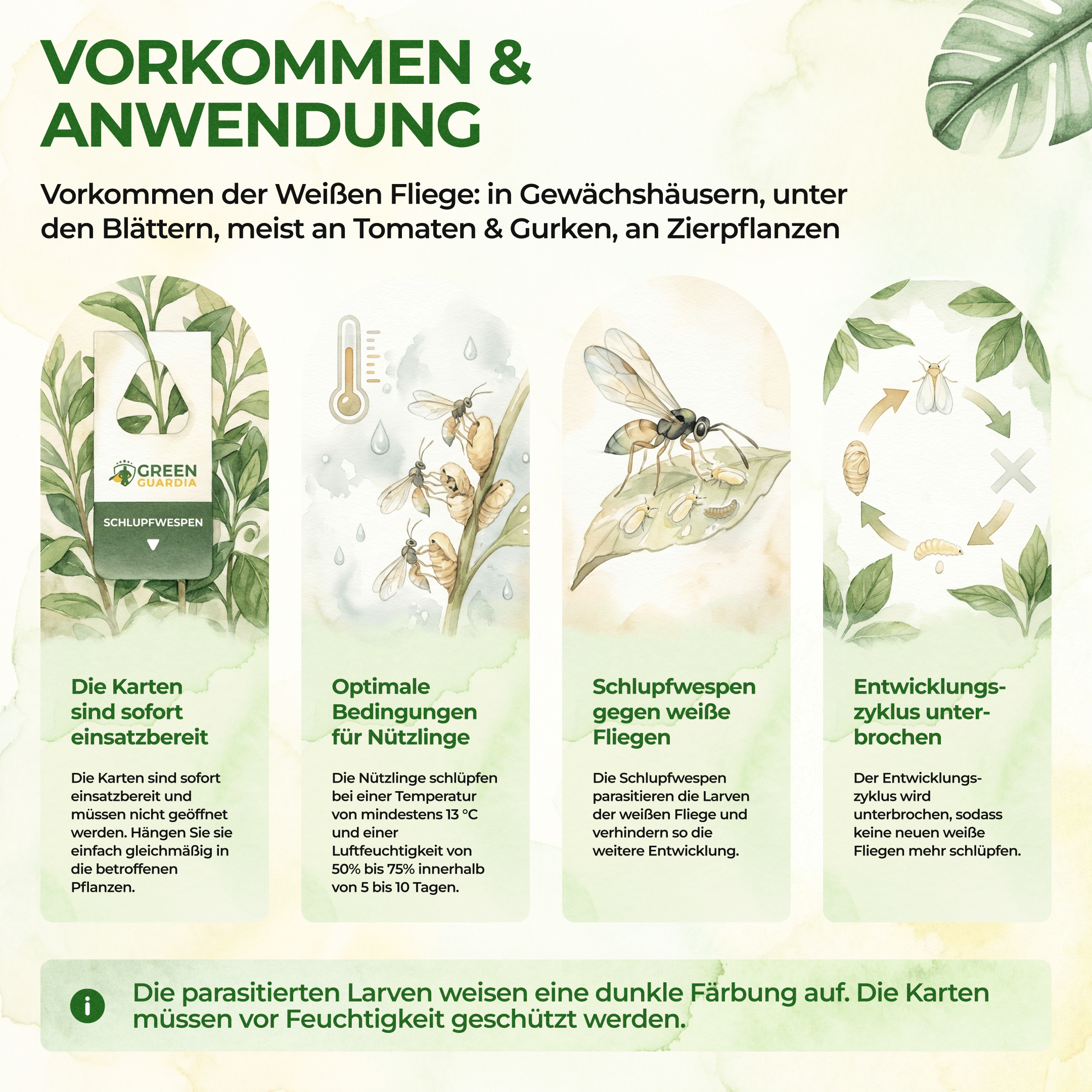 green-guardia-encarsia-schlupfwespen-n-tzlinge-1-karte image 2