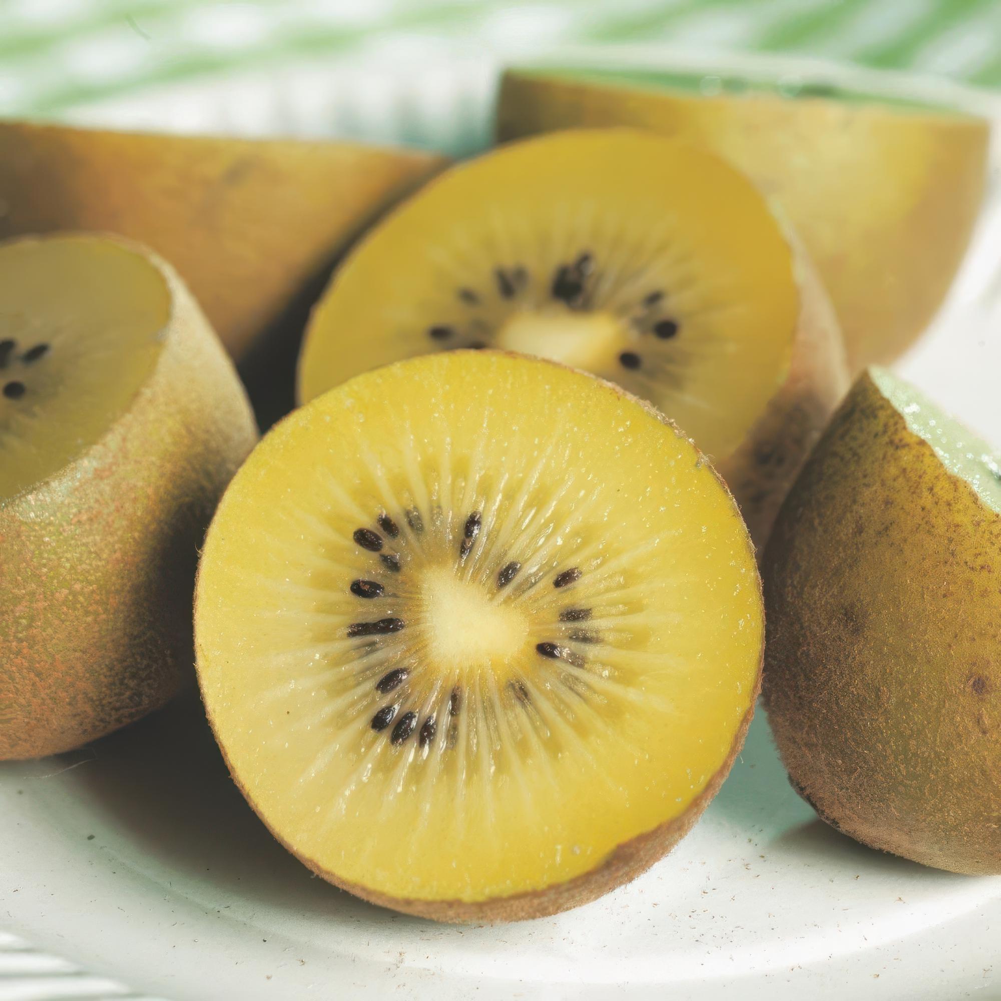 green-guardia-golden-kiwi-pflanze-gelb-2-pflanzen-50cm image 4