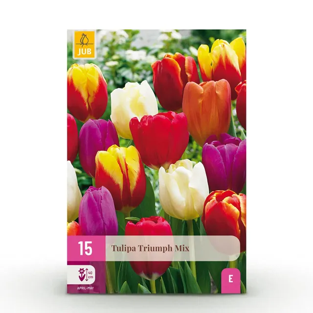 green-guardia-tulpe-triumph-mix-15-zwiebeln-11-12 image 1