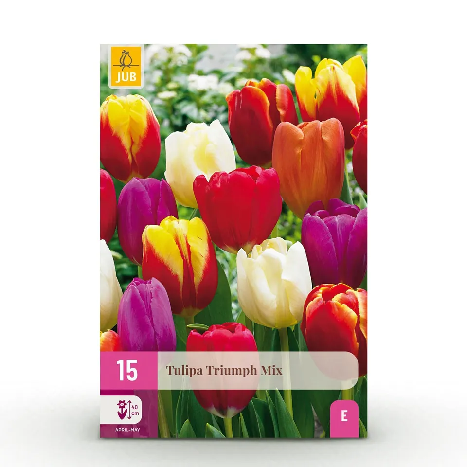 green-guardia-tulpe-triumph-mix-15-zwiebeln-11-12 image 1