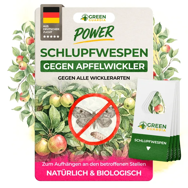 green-guardia-schlupfwespen-gegen-apfelwickler-n-tzlinge-3-karten image 1