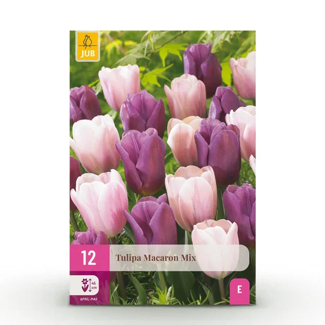 green-guardia-tulpe-macron-mix-blumenzwiebeln-12-st-ck-winterhart image 1