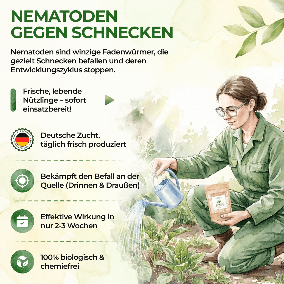 green-guardia-nematoden-gegen-schnecken-5-mio-10m image 5