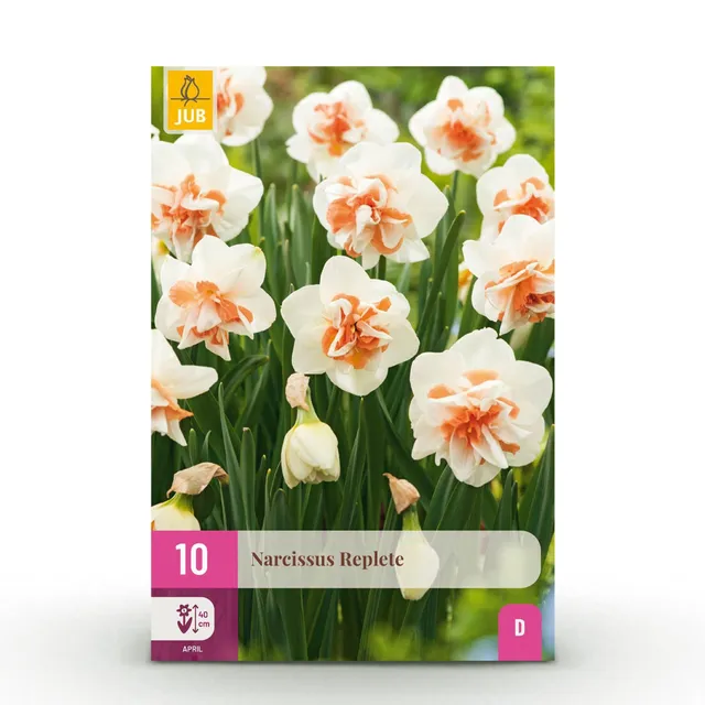 green-guardia-unsere-pflanzen-replete-narzissen-10-blumenzwiebeln image 1
