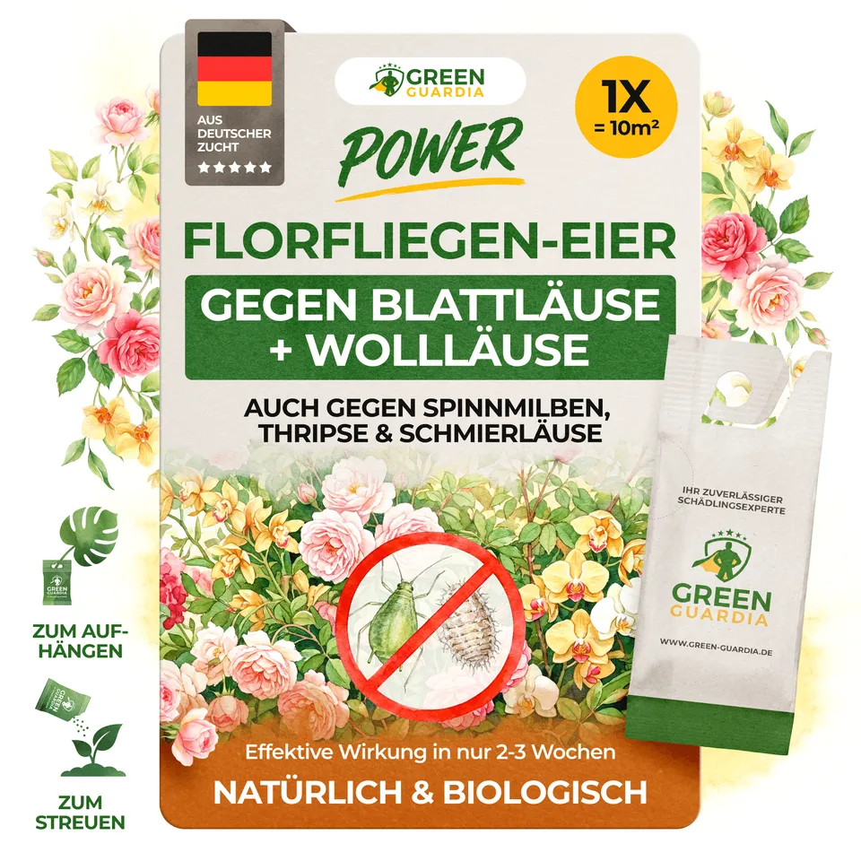 green-guardia-florfliegenlarven-eier-gegen-blattl-use-1-t-te image 1