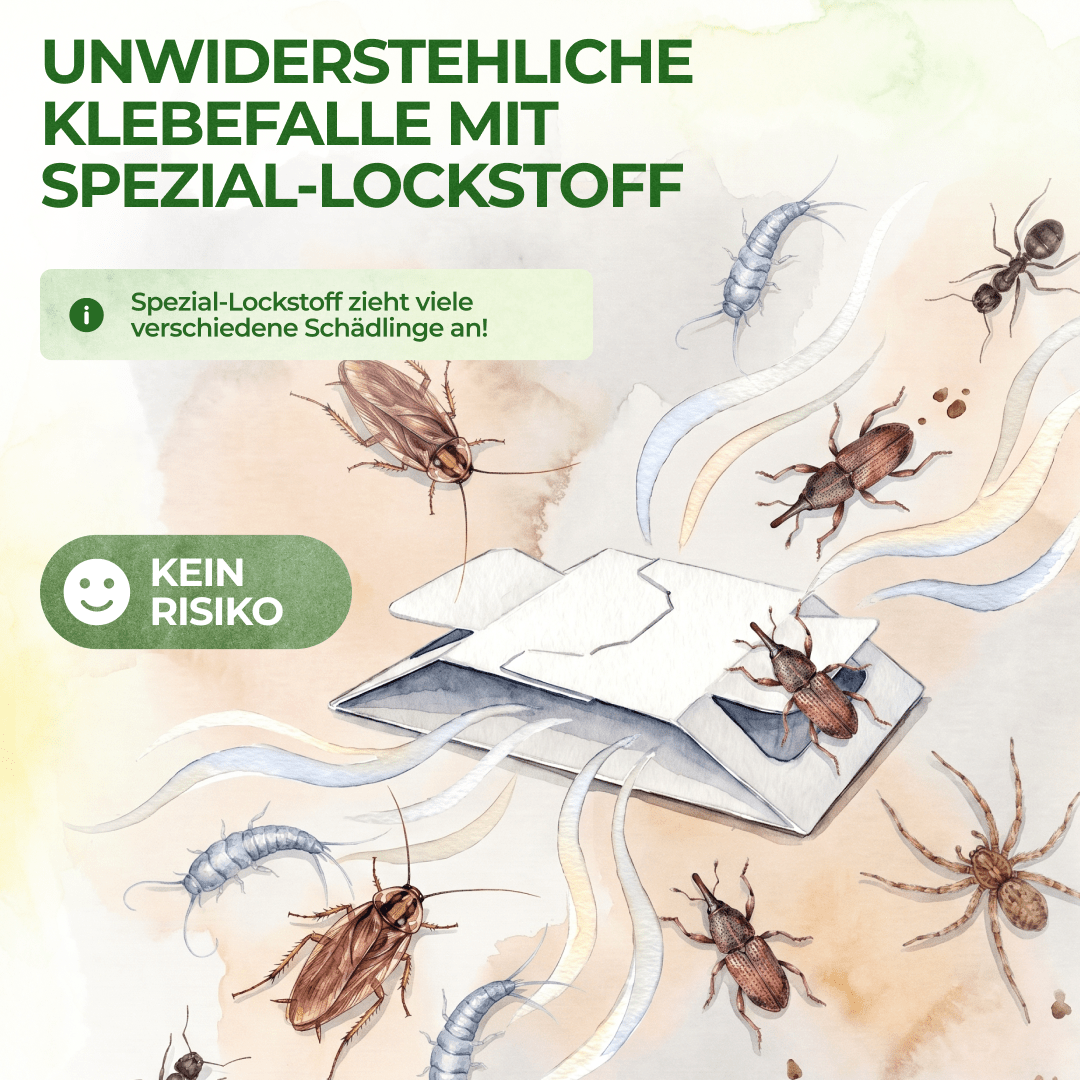 green-guardia-mehrweg-fallen-klebefalle-3x-fallen-giftfrei-lockstoff image 5