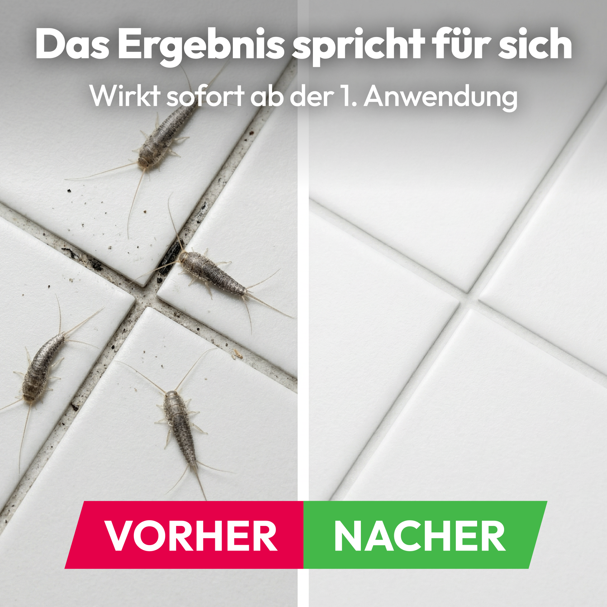 gerobug-silberfische-attack-spray-bad-fugen-2-in-1 image 3