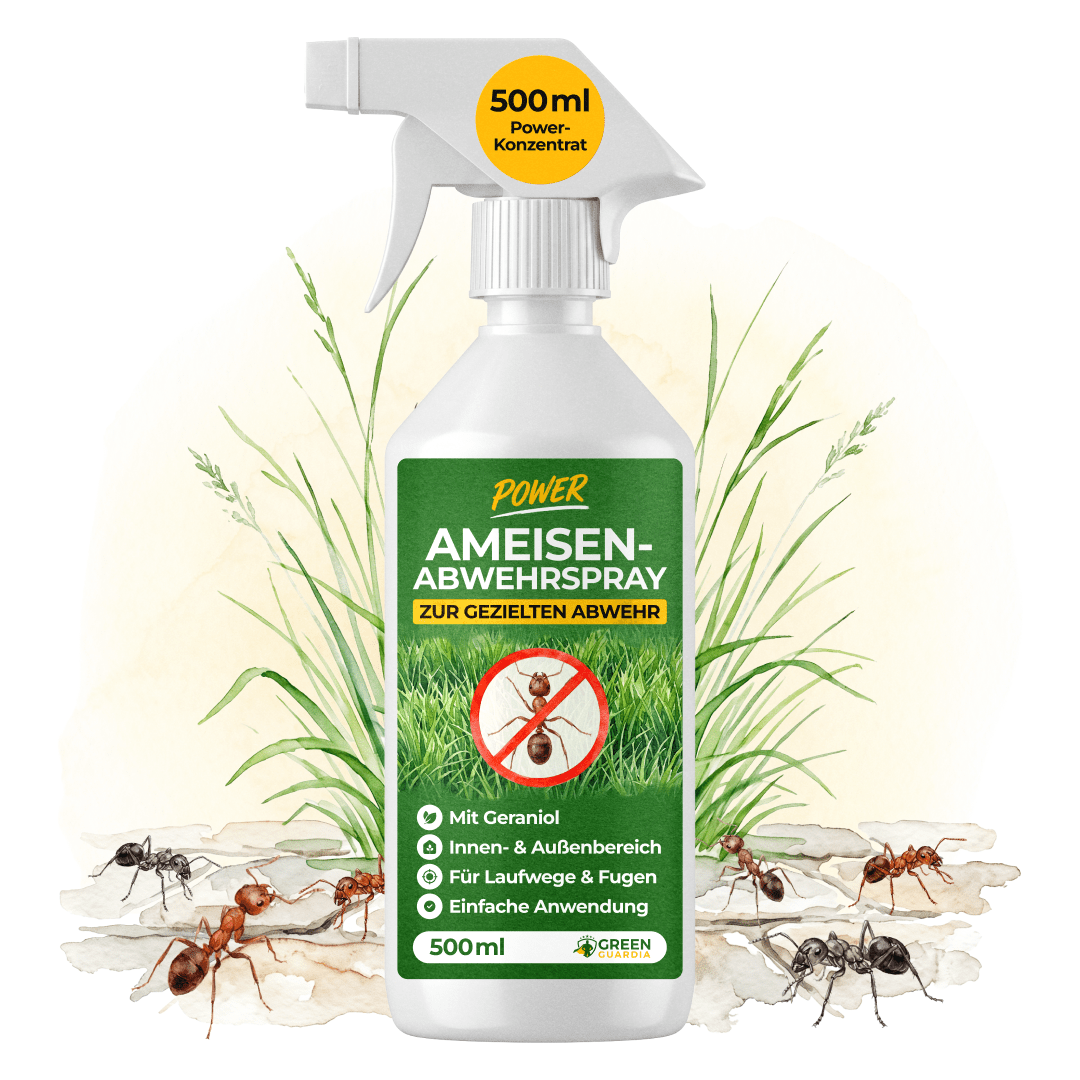 green-guardia-abwehrspray-ameisen-power-konzentrat-500-ml image 1