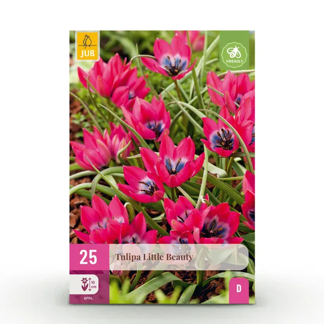 green-guardia-tulpe-little-beauty-dunkelrosa-25-st-ck-winterhart image 1