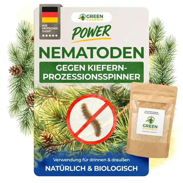 green-guardia-nematoden-gegen-kiefernprozessionsspinner-5-mio image 1