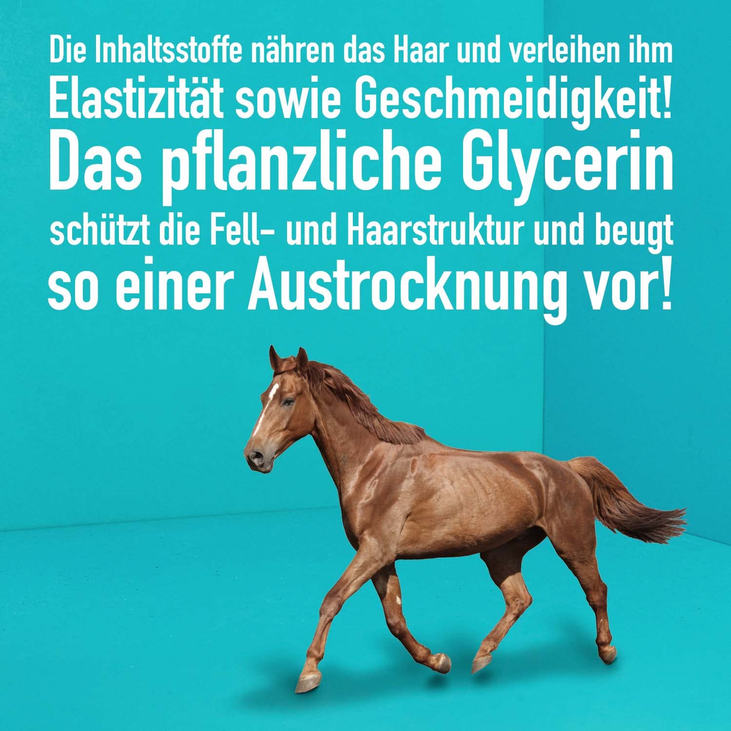 greenhero-haustiere-kokosshampoo-pferd-500-ml-ohne-silikone image 4