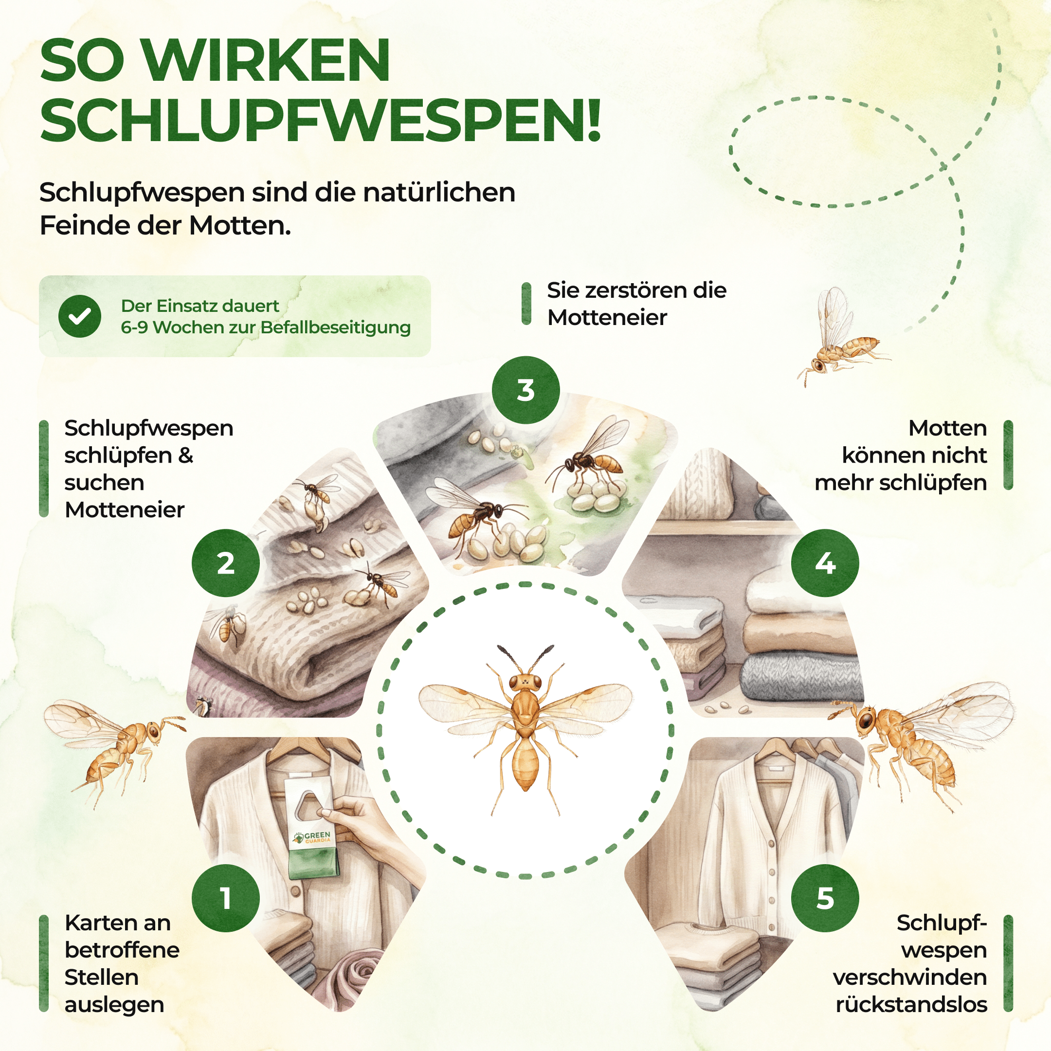 green-guardia-schlupfwespen-gegen-kleidermotten-1x-karte-trichogramma image 2