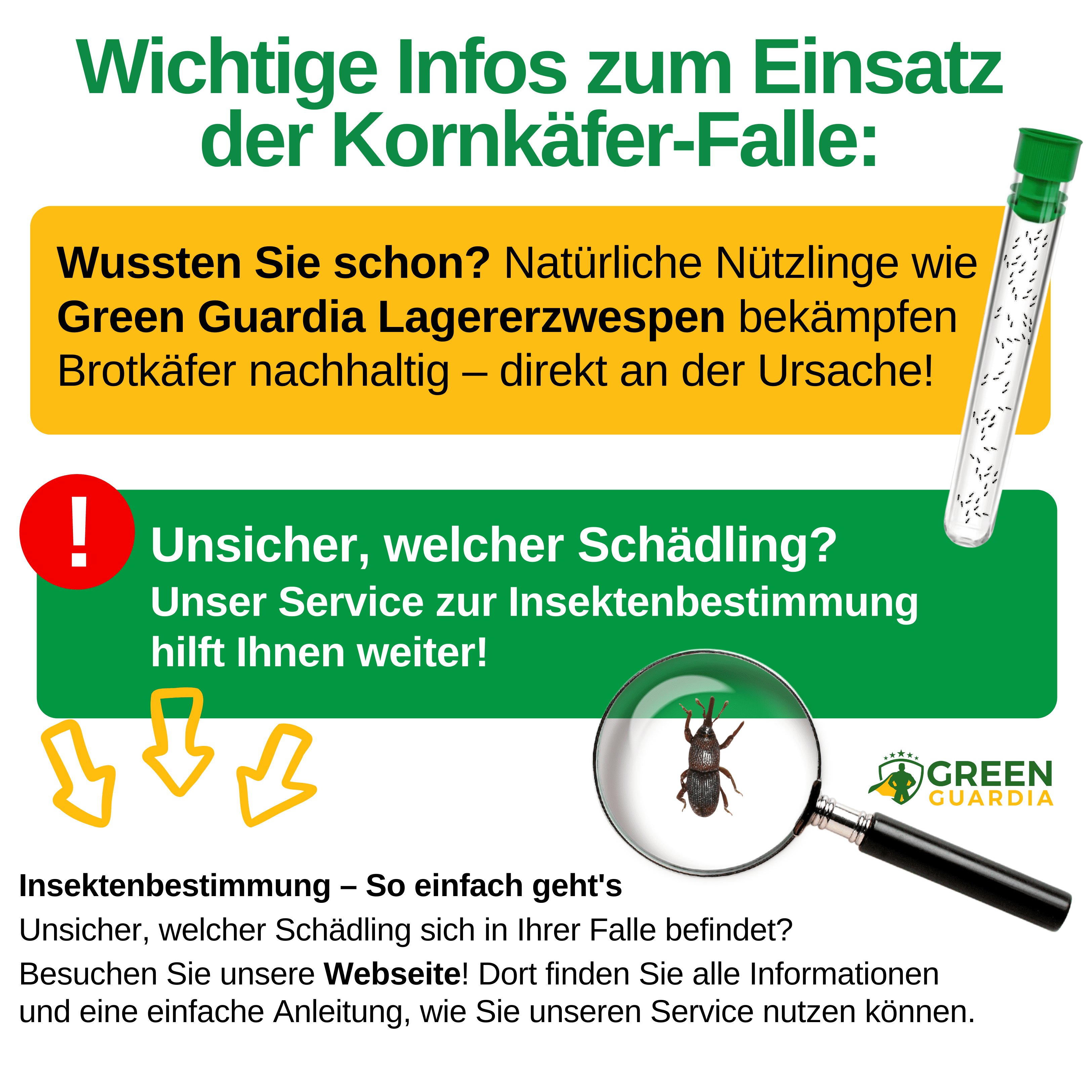 green-guardia-mehrweg-fallen-kornk-fer-klebefalle-1-falle image 7